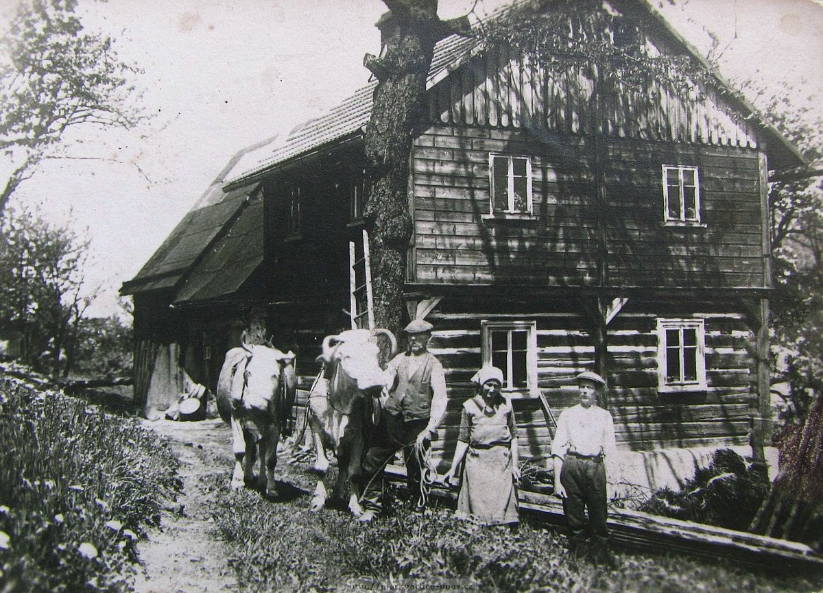 Veselko . 12, Flgelovi