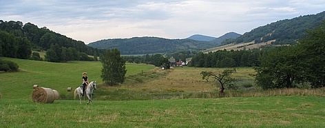 Kerhartice