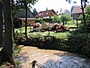Markvartice 