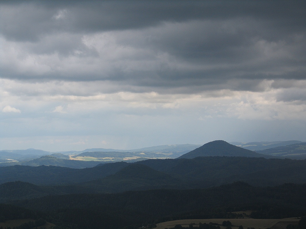 Tanenice