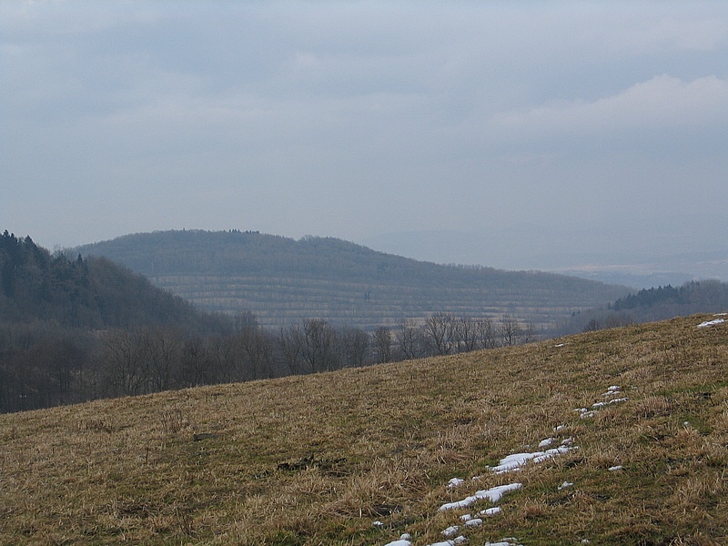 pohled od arelu na horu Kohout - na hoe Kohout je zjevn, e se jedn o zemdlsk protierozni opaten, to ale v ppad Barenbergu nen zdaleka tak jasn, arel m jin charakter