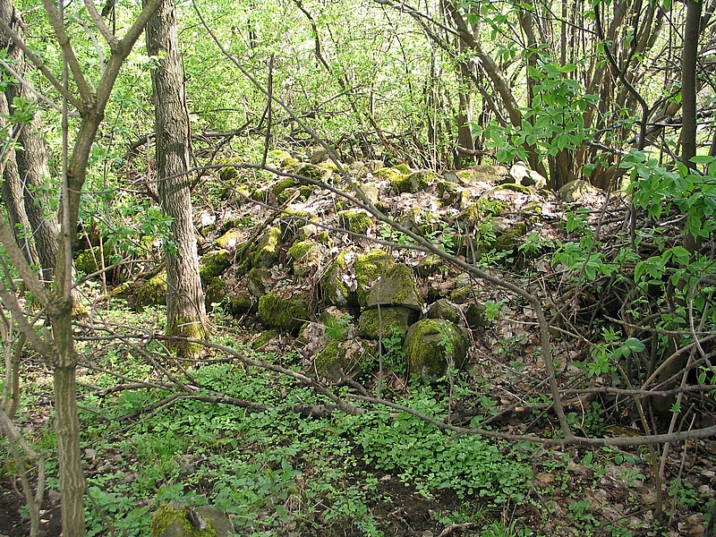 nejmohutnj val - sypan