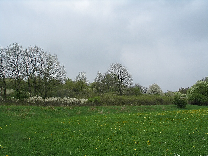 pstup od jihu - nsep ped prvn zd