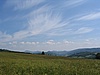 Vysok les