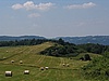 Li hory (Fuchsberge)