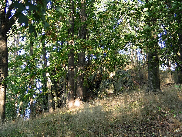 Rilkenberg 