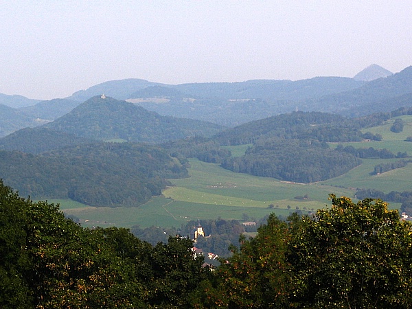 Markvartice z Brloce 