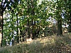 Rilkenberg