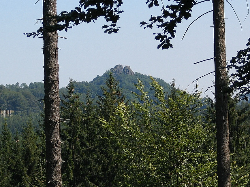 Toltejn