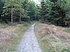Vracme se ke kiovatce turistickch cest nad Jedlovou a vydme se po erven turistick znace