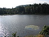 Jedlovsk rybnky s ostrvky leknn
