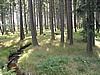 ka Kamenice