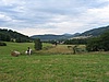 Kerhartice