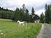Kerhartice