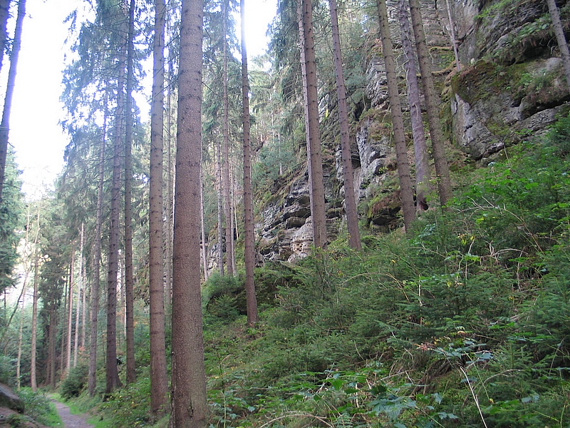 soutska Oleniky