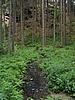 soutska Oleniky
