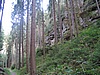 soutska Oleniky