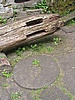 Dolsk Mln