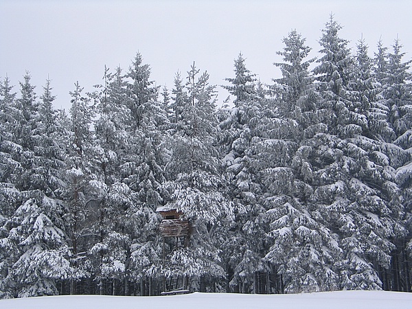 Posed na Polevskm vrchu