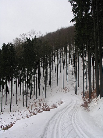 Korov cesta