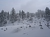 Medvd hrka (643m)