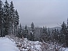 nad Tannenbergem