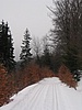 Korov cesta