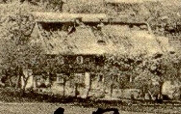 Veselko