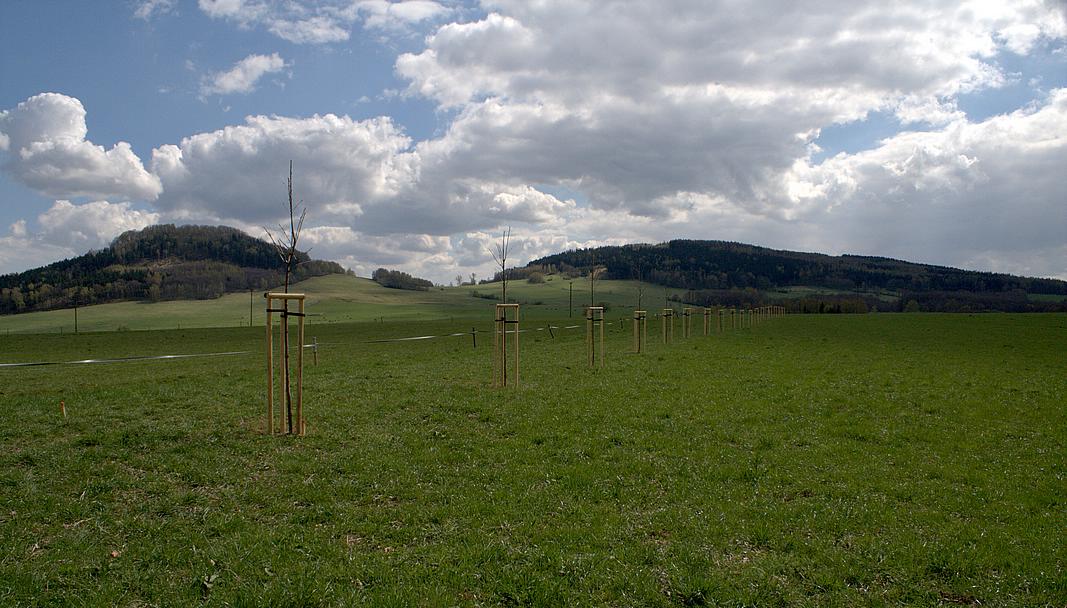 Veselko - pohled od Markvartic