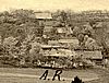 Veselko