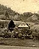 Veselko . 19