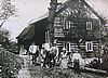 Veselko . 12, Flgelovi